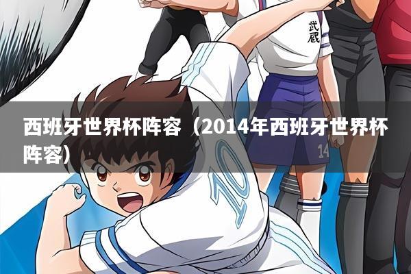 西班牙世界杯阵容（2014年西班牙世界杯阵容）