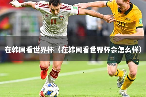 在韩国看世界杯（在韩国看世界杯会怎么样）