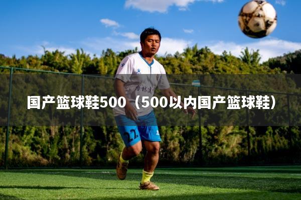 国产篮球鞋500(500以内国产篮球鞋)