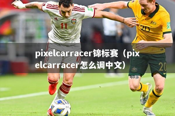 pixelcarracer锦标赛（pixelcarracer怎么调中文）