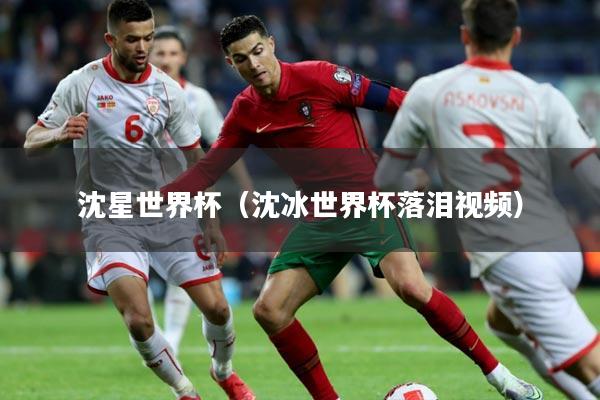 沈星世界杯（沈冰世界杯落泪视频）